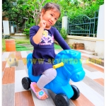 รถขาไขหน้าม้าฟ้า