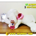 ตุ๊กตาหมานมสด 10" นิ้ว