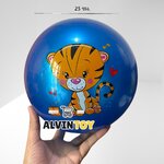 ลูกบอลยางนิ่ม เด้งดึ่ง พร้อมตาข่าย ขนาด 25 ซม. ลูกบอล ลูกบอลนิ่ม บอลยาง ส่งเร็ว พร้อมส่งจากกทม.