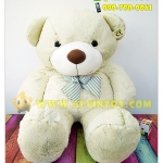 The Bear - ตุ๊กตาหมีขายาว 48 นิ้ว