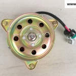 มอเตอร์พัดลมหม้อน้ำ FOCUS (โฟกัส) / #8C607