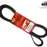 สายพานไดชาร์ท FOCUS TDCI เครื่องดีเซล / 4M5Q6C301MA