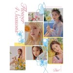 ( Pre-Order ) DIA 6th Mini Album Flower 4 Seasons ( Flower ver ) + Poster วางจำหน่าย 11 / 6 / 2020