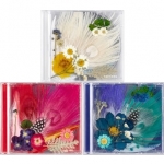 ( Pre-Order ) TAEYANG ( Bigbang ) 3rd Album WhiteNight random cover + random photocard + Limited Poster วางจำหน่าย 23 / 8 / 2017