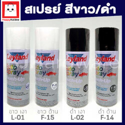 สีสเปรย์ สีขาวเงา / สีดำเงา / สีขาวด้าน / สีดำด้าน