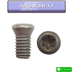 สกูรหัวดาว