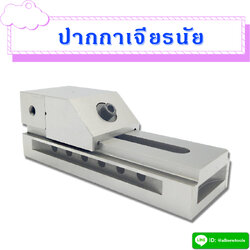 ปากกาเจียรนัย