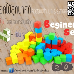 บล็อคไม้ลูกบาศก์ ติวสอบป.1สาธิต ชุดเริ่มต้น 20 ชิ้น