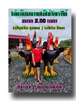 ไก่ปูนปั้นแก้บน-ถวายขอพรตาไข่วัดเจดีย์ ขนาด2 เมตร