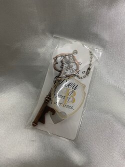 KEYRING016