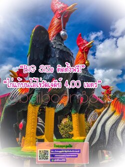 รูปปั้นไก่ชนแก้บนไซต์ยักษ์ขนาด4เมตร