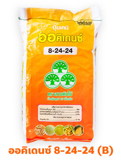 ปุ๋ยเกล็ด ออคิเดนซ์ ระบบน้ำ (สูตร B คลอไรด์ เชือกเขียว) เร่งสะสมอาหาร สุตร 8-24-24 บรรจุ 25 กิโลกรัม