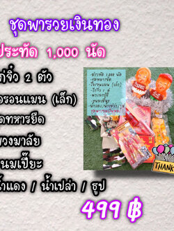 ชุดพารวยเงินทอง