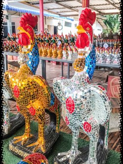 ไก่กระจก ขนาด57 cm