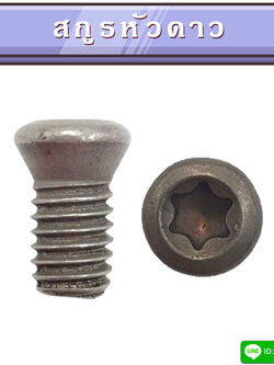 สกูรหัวดาว