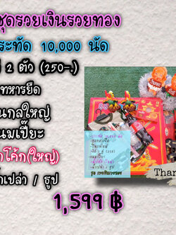 ชุดรวยเงินรวยทอง