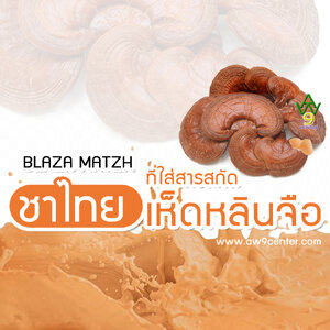 ชาไทยที่ใส่เห็ดหลินจือ เบลโซ่ แมทซ์ - AW9
