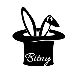 กระเป๋าแบรนด์ ฺBitny