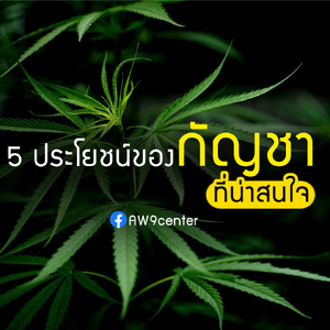 5 ประโยชน์ของกัญชาที่น่าสนใจ - AW9