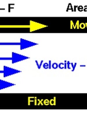 การวัดความหนืด (Viscosity Measurement)