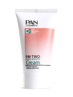 PM TWO Cream 25 g.พีเอ็ม2 ขนาด 25 g.