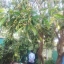 ท่องเทียวเชิงการเกษตร