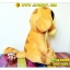 ตุ๊กตา Beby Tigger - เบบี้ทิคเกอร์ 20 นิ้ว