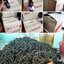 หมากเม่าไวน์ราคา B2B/ขายส่ง มีโปรโมชั่นบริการส่งตามความต้องการ(ราคานี้ไม่รวมค่าส่ง)