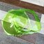 สนาม BEYBLADE เบย์เบลด ของแท้ Takara Tomy ขนาดความกว้าง 44 ซม. วัสดุคุณภาพดี