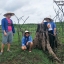 ท่องเทียวเชิงการเกษตร