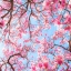 Japanese Cherry Blossom