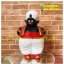 Figure Mr.Popo - มิสเตอร์โปโป้