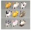 Action Figure โมเดลแมวญี่ปุ่น ตุ๊กตาเเมวจิ๋ว 9 ตัว ขนาดความสูง 5 ซม. หมุนคอได้