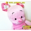 ตุ๊กตา BebyPiglet - เบบี้พิกเล็ต 20 นิ้ว