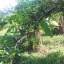 ท่องเทียวเชิงการเกษตร