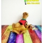 ตุ๊กตาหมา Scooby Doo - สคูบี้ดู ท่าหมอบ ใส่เสื้อ 38 cm.